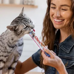 Inaba Cat Churu Meal Topper Treat - Creamy Salmon Recipe 24 x 14g Tubes Fashion