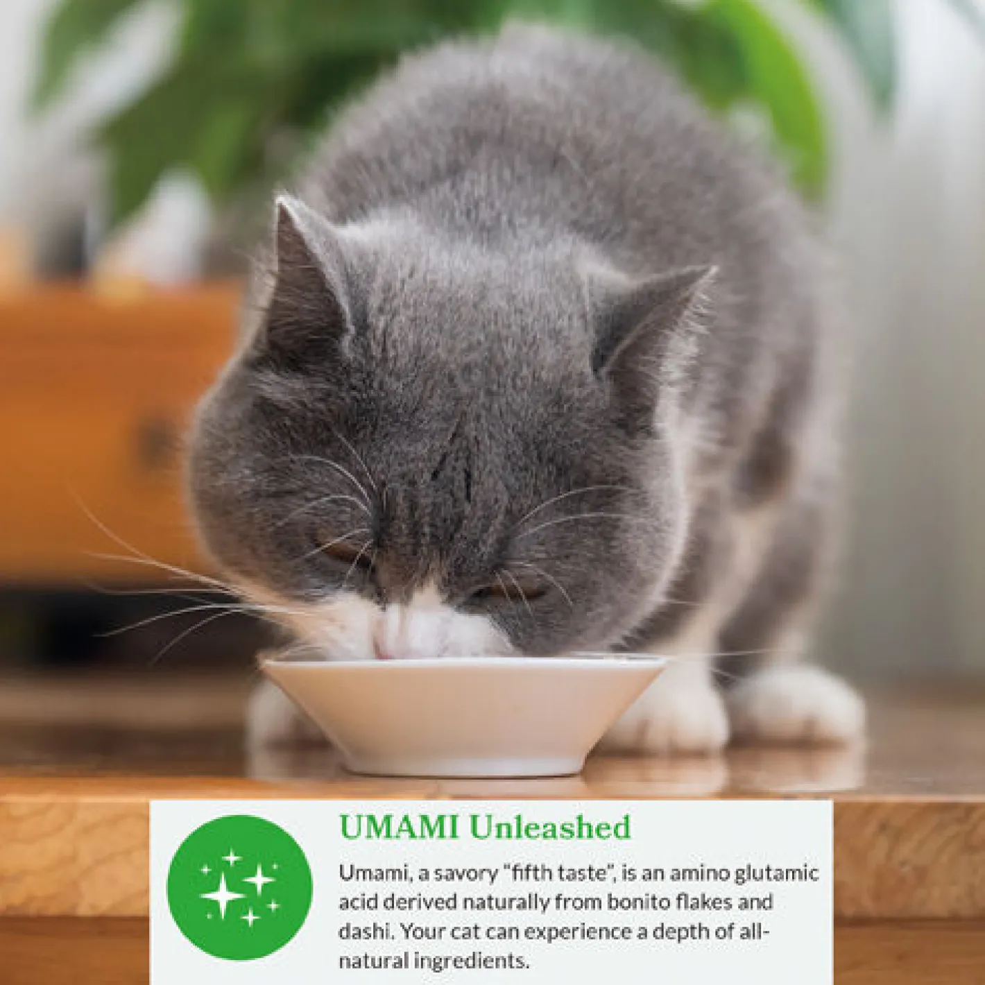 Inaba Cat Food Dashi Delights Chicken & Tuna Flakes in Dashi Broth - 6 x 70g Cups Online
