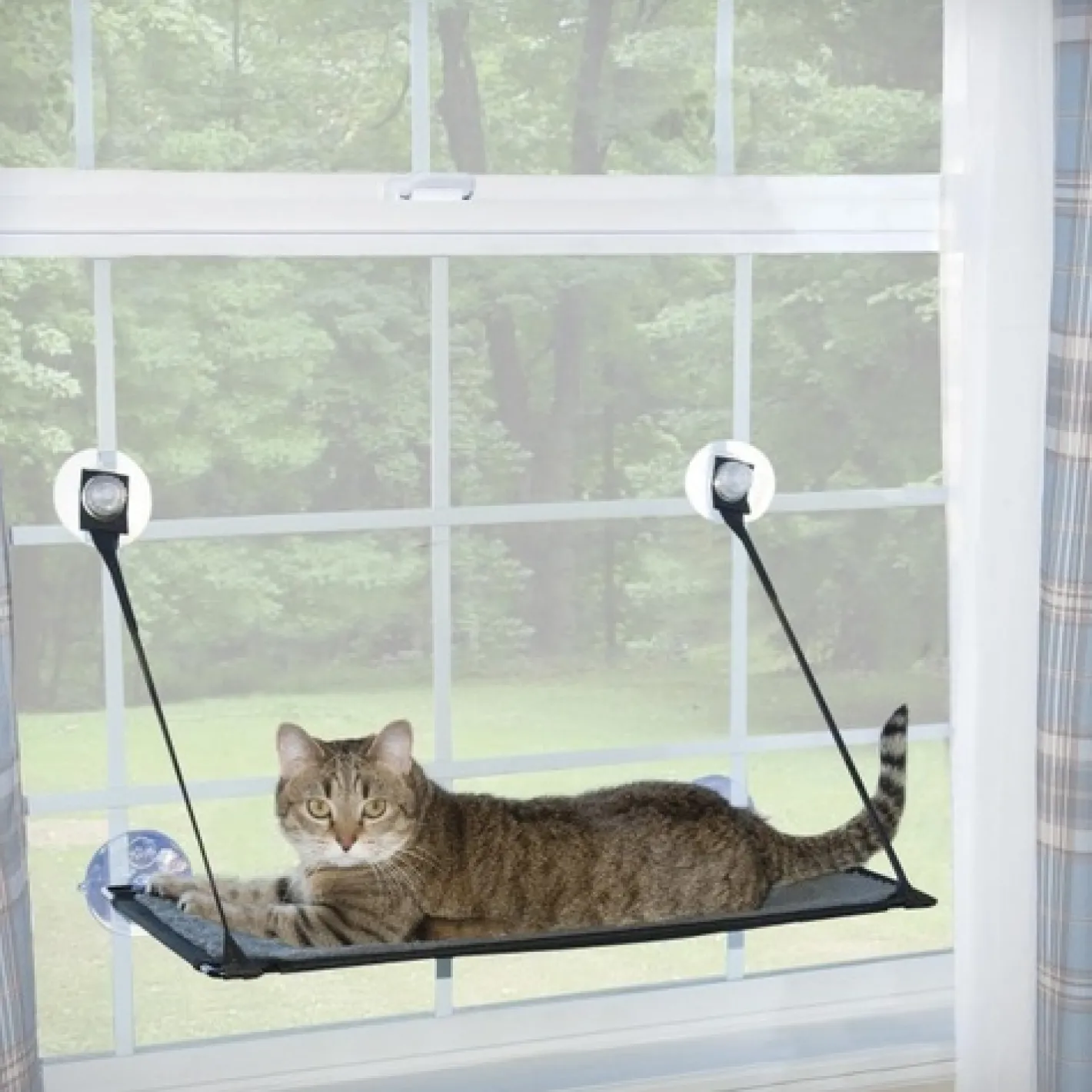 K&H Kitty Sill EZ Window Mount Hammock for Cats up to 45kg! - Attach to Glass! Sale