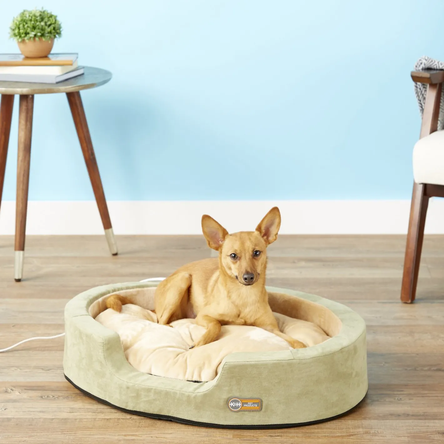 K&H Thermo Snuggler Low-Voltage Heated Pet Bed for Cats & Dogs in Sage Green Outlet