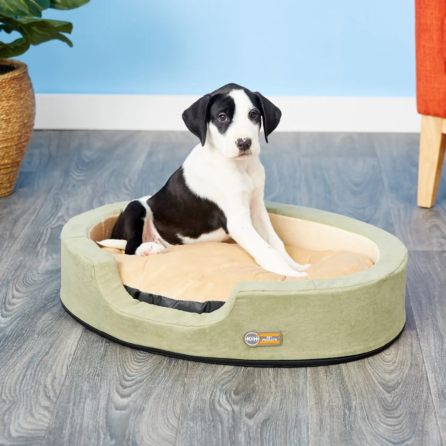 K&H Thermo Snuggler Low-Voltage Heated Pet Bed for Cats & Dogs in Sage Green Outlet