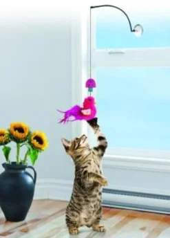 KONG Active Suction Window Teaser for Cats Best