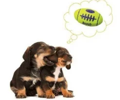 KONG AirDog Squeaker Football Non-Abrasive Fetch Dog Toy Sale