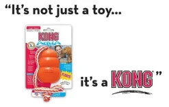 KONG Aqua Classic Shape Fetch Dog Toy on a Rope Online