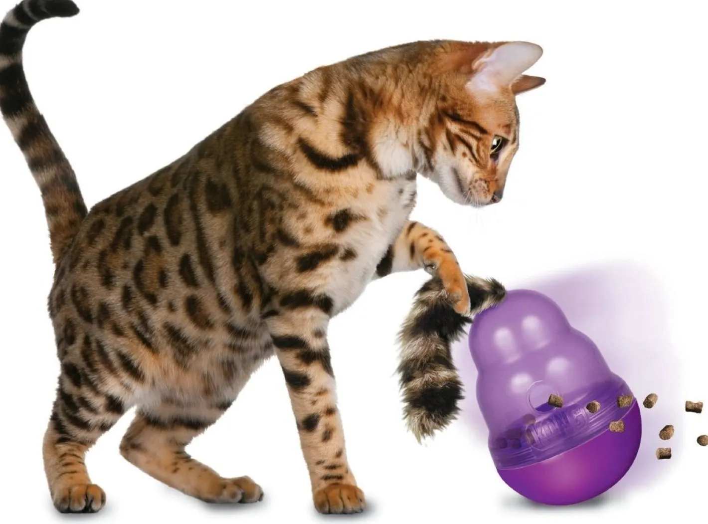 KONG Cat Wobbler Interactive Treat Dispensing Cat Toy Best