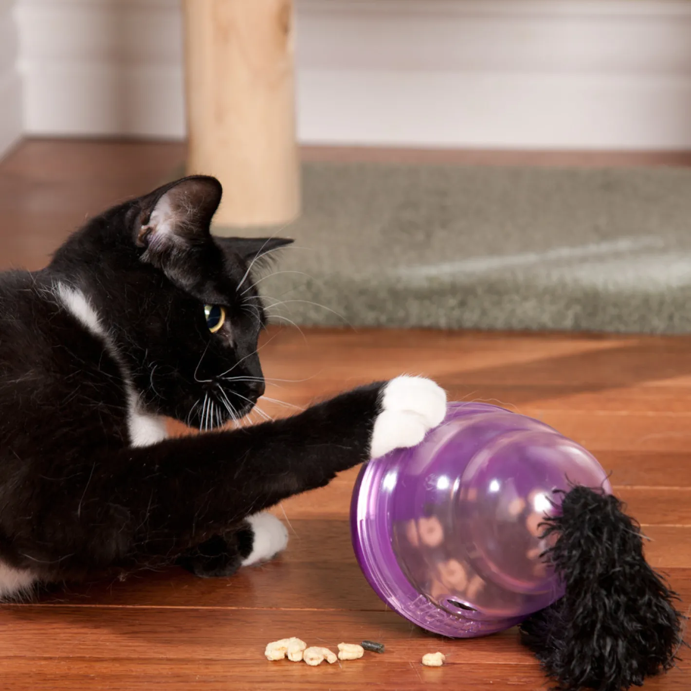 KONG Cat Wobbler Interactive Treat Dispensing Cat Toy Best