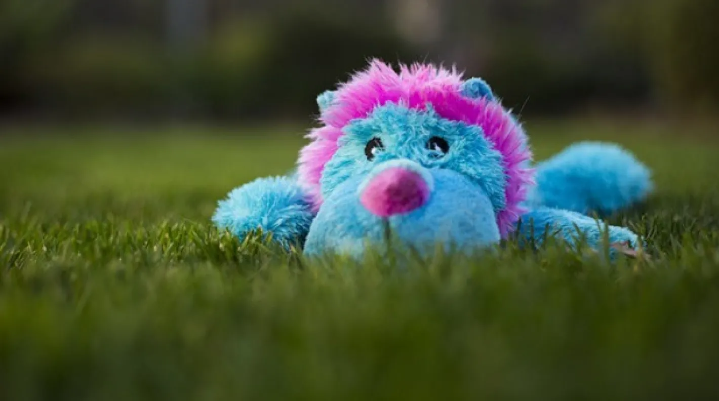 KONG Cozie - Low Stuffing Snuggle Dog Toy - King Lion Clearance
