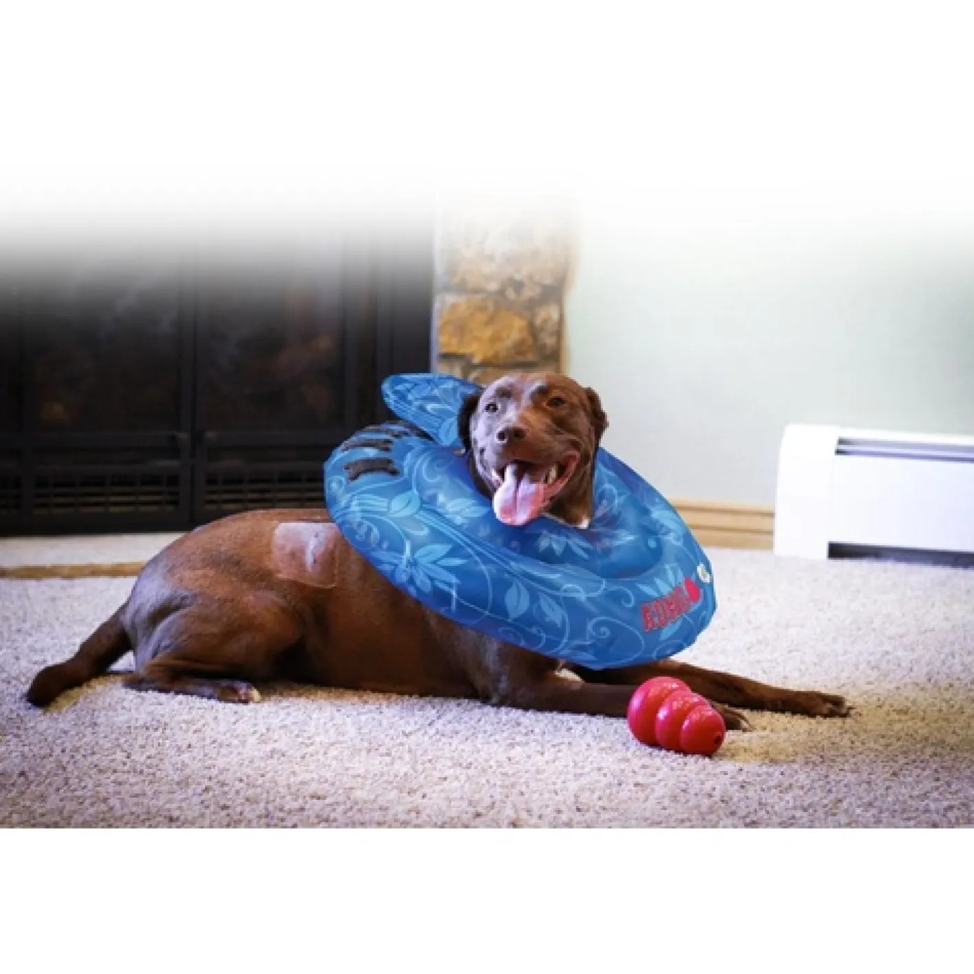 KONG Cushion Collar Post-Surgery or Injury Cone Collar New