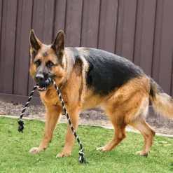 KONG Extreme Tough Dog Toy with Rope - Large Clearance