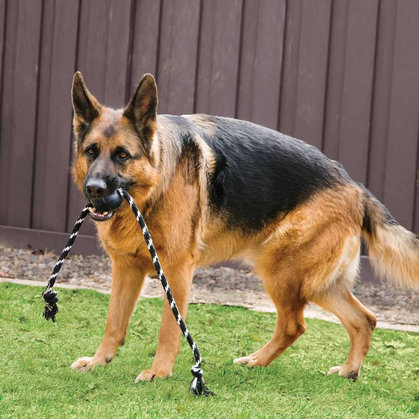 KONG Extreme Tough Dog Toy with Rope - Large Clearance