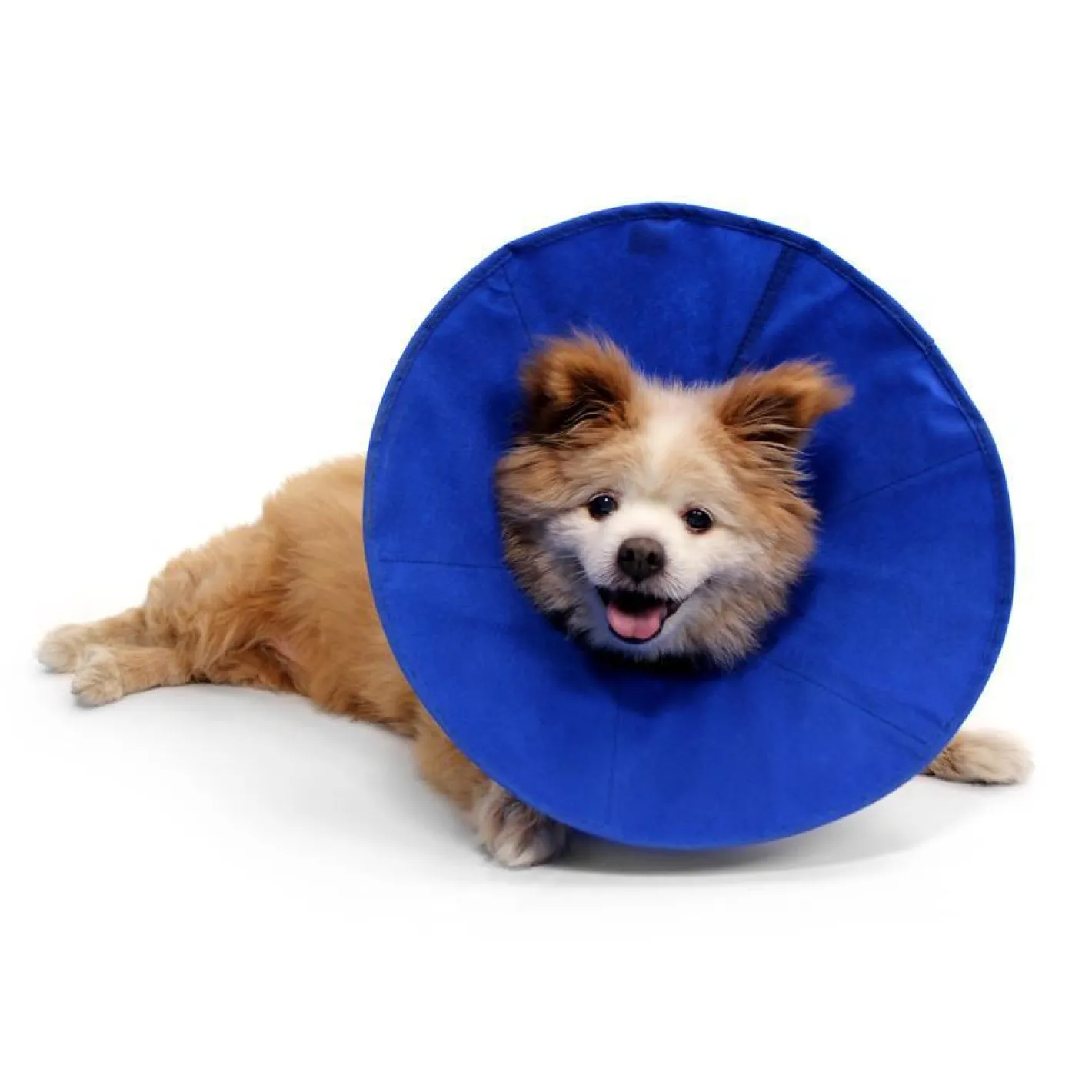 KONG EZ Soft Elizabethan Medical Collar for Cats & Small Dogs Online
