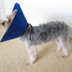 KONG EZ Soft Elizabethan Medical Collar for Cats & Small Dogs Online
