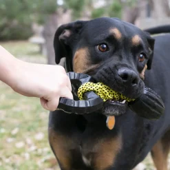 KONG Jaxx Braided Tug Tough Large Interactive Dog Toy New