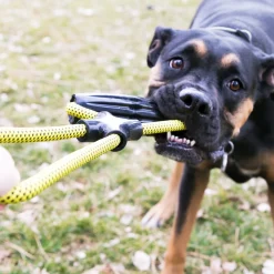 KONG Jaxx Infinity Tug Tough Large Interactive Dog Toy Outlet