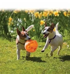 KONG Jumbler Rubber Ball with Hidden Tennis Ball Dog Toy Discount
