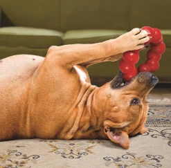 KONG Natural Red Rubber Ring Dog Toy for Healthy Teeth & Gums Hot