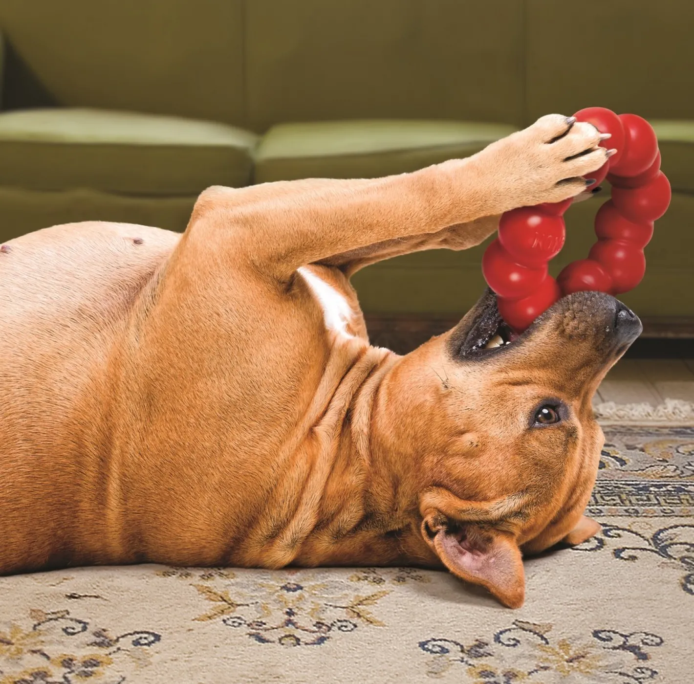 KONG Natural Red Rubber Ring Dog Toy for Healthy Teeth & Gums Hot