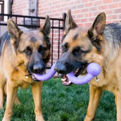 Generic KONG Ogee Stick - Safe Fetch Toy for Dogs -  Floats in Water Hot