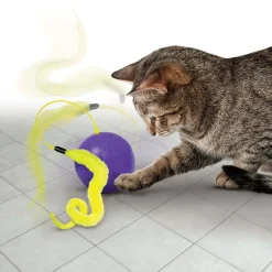 KONG Purrsuit Whirlwind Battery-Operated Gliding Chase Ball Cat Toy Best