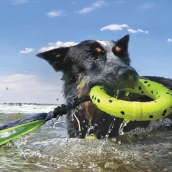 KONG Reflex Bite Defying Floating Dog Toy - Flyer Outlet