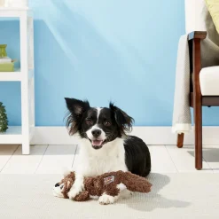 KONG Scrunch Knots No Stuffing Dog Toy Squirrel Clearance