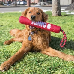KONG Signature Stick with Rope - Safe Fetch Toy for Dogs - One Size Best