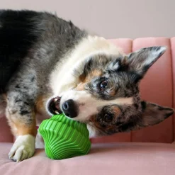 KONG Squeezz Orbitz Spin Top Squeaker Dog Toy - Random Colour - S/M Clearance