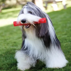 KONG Squeezz Stick Large Sale