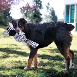 KONG Wubba No Stuff Squeaker Dog Toy - Large Zebra Best