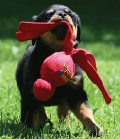 KONG Wubba Tug Toy for Dogs in Assorted Colours Discount