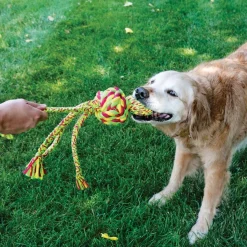 KONG Wubba Weaves Tug Rope Toy for Dogs in Assorted Colours Hot