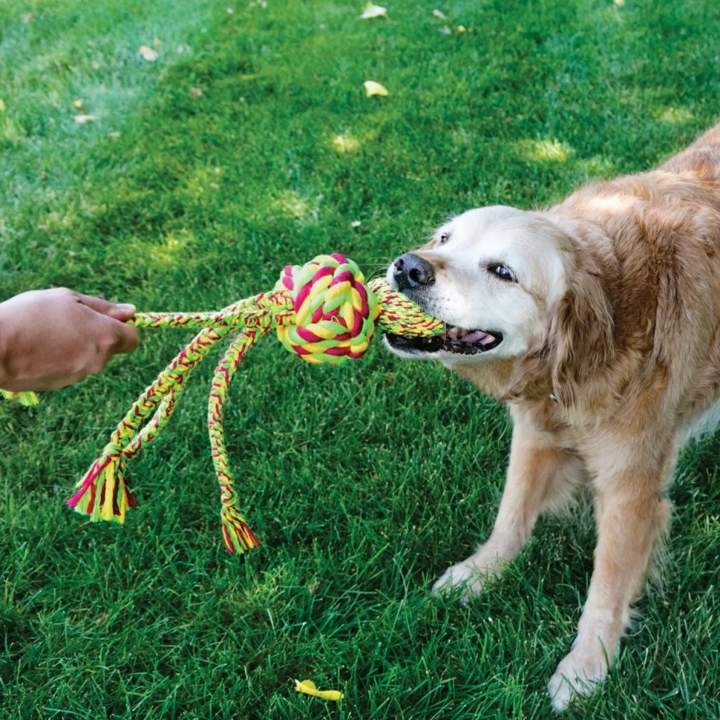 KONG Wubba Weaves Tug Rope Toy for Dogs in Assorted Colours Hot