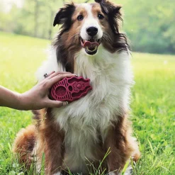 KONG ZoomGroom Silicone Cleaning Brush for Dogs Outlet