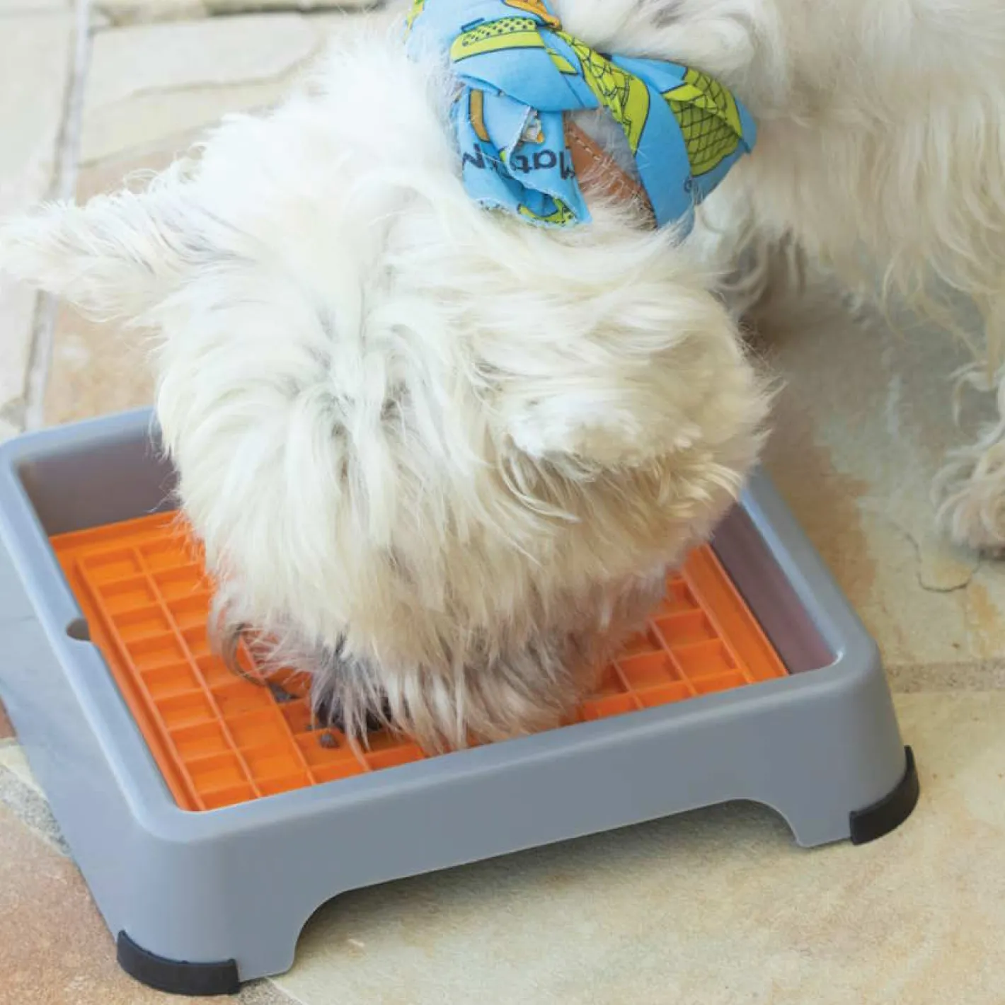 Lickimat Indoor Keeper Slow Dog Bowl Pad Holder for Standard Size s Fashion