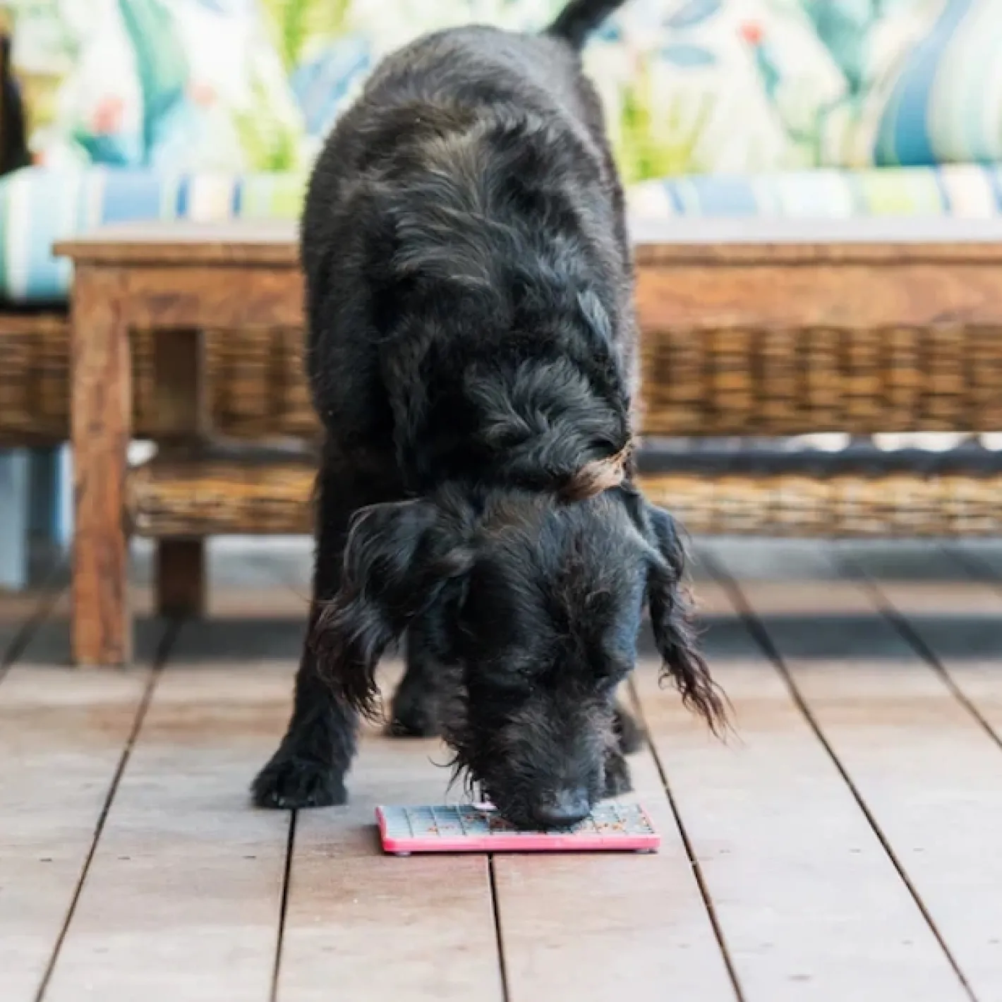 Lickimat Mini Tuff Playdate Slow Food Bowl Anti-Anxiety Mat for Dogs Clearance