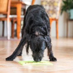 Lickimat Soother Slow Food Licking Mat for Cats & Dogs X-Large Online