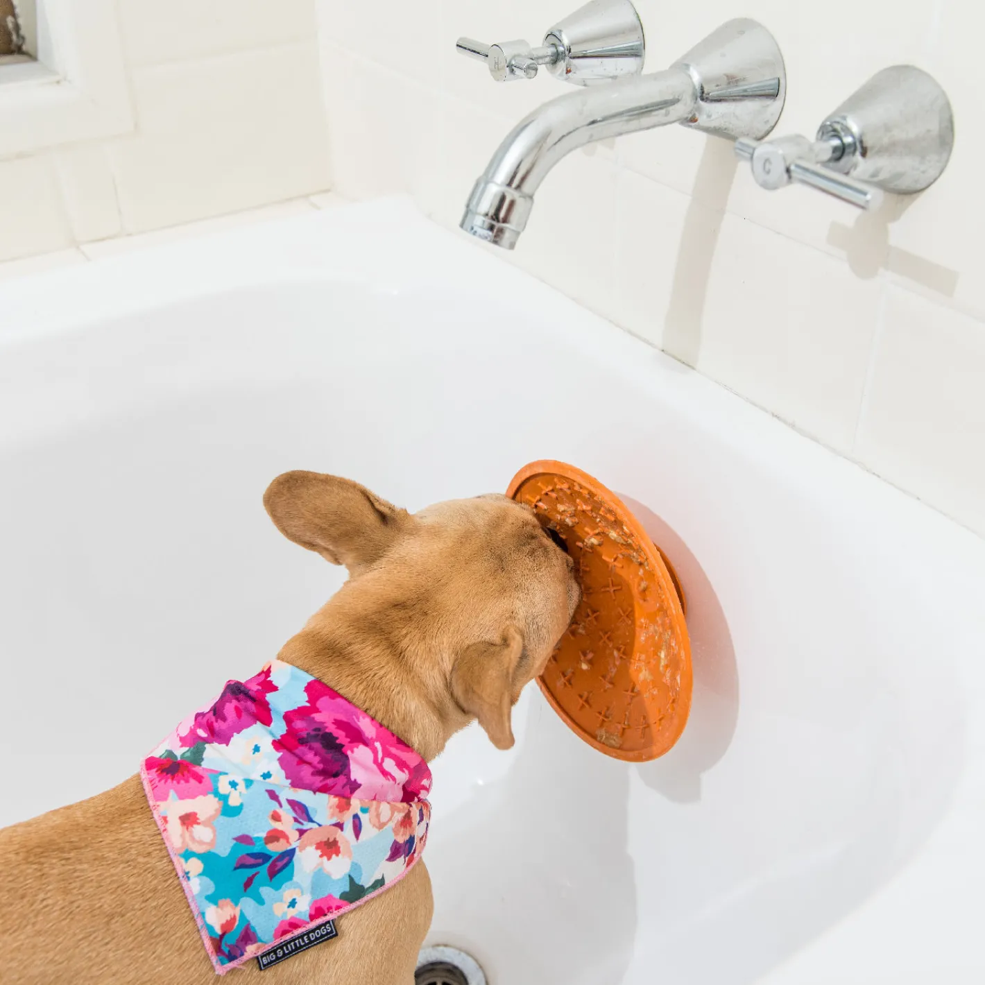 Lickimat Splash Wall & Floor Suction Slow Feeder Dog Bowl Clearance