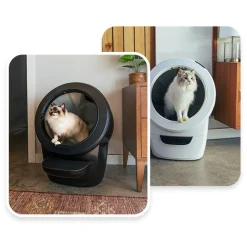 Litter Robot 4 Automatic Cat Litter System in Black or White Best