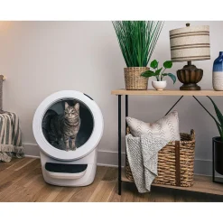 Litter Robot 4 Automatic Cat Litter System in Black or White Best