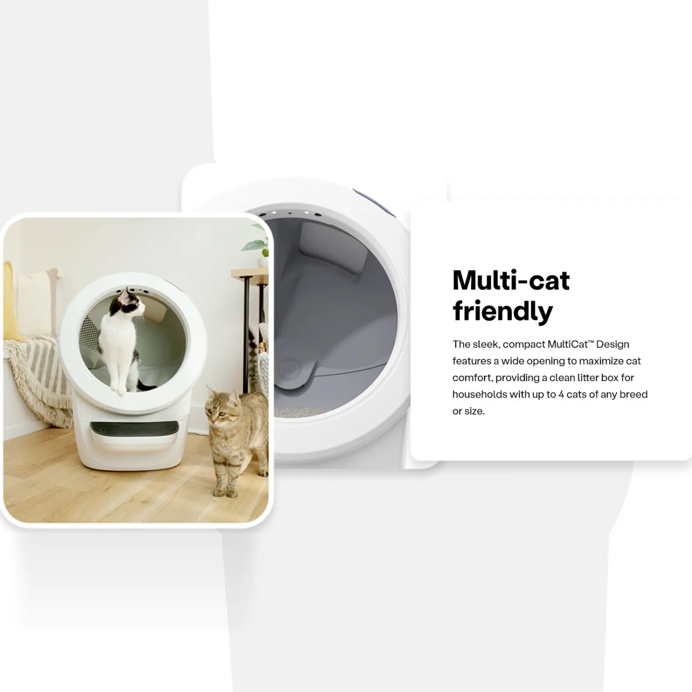 Litter Robot 4 Automatic Cat Litter System in Black or White Best