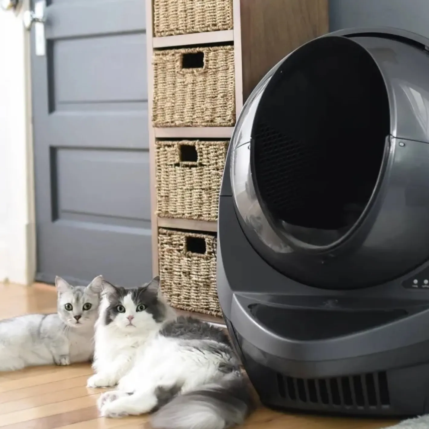 Litter Robot III Connect WIFI- Enabled Automatic Self Cleaning Cat Litter System Fashion