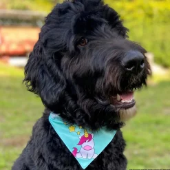 Max & Molly Bandana for Cats & Dogs - Monkey Maniac Hot