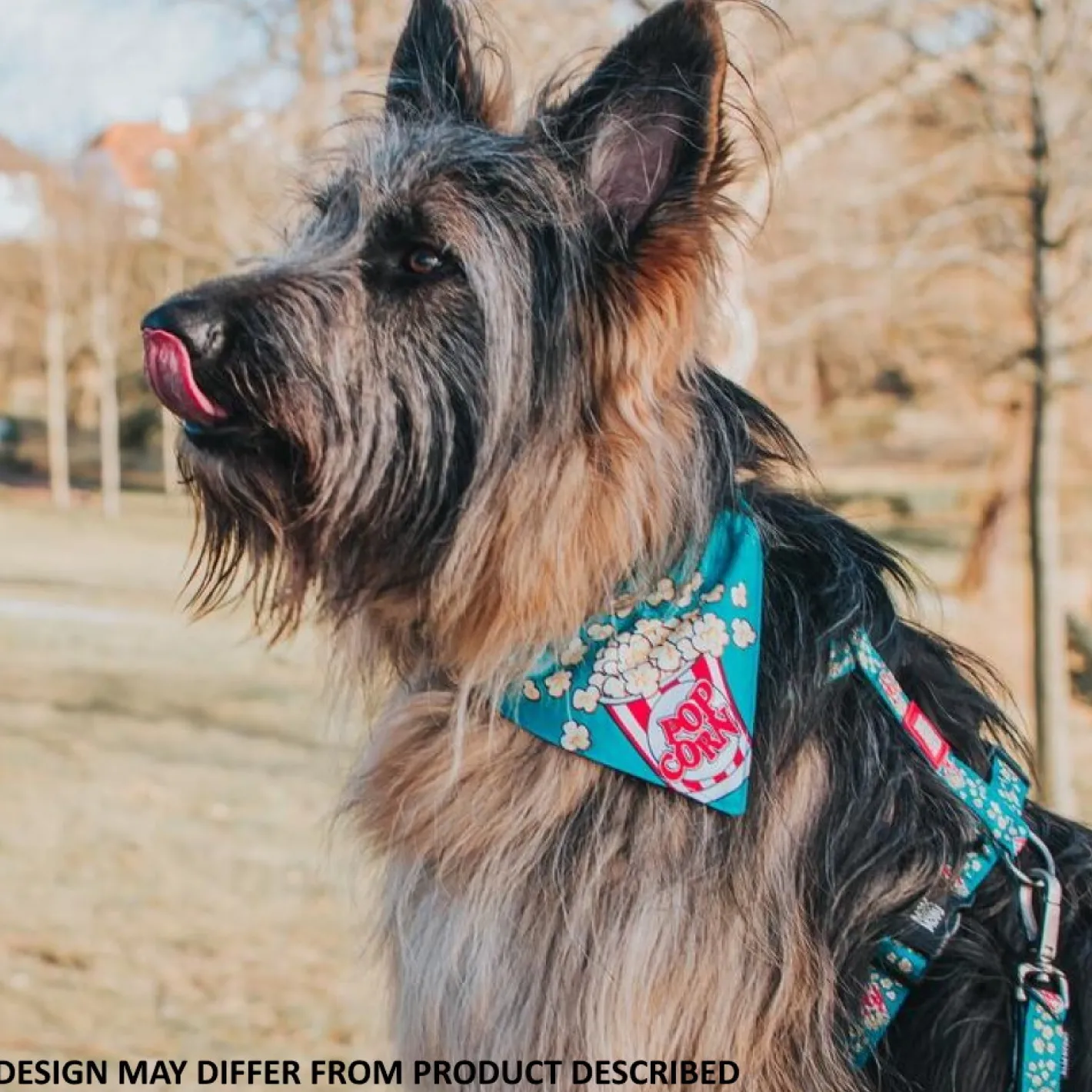Max & Molly Bandana for Cats & Dogs - Strawberry Dream Clearance