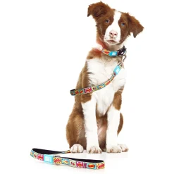 Max & Molly Dog Leash - Comic Sale