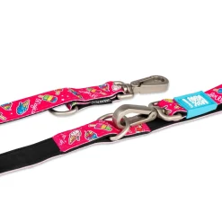 Max & Molly Dog Leash - Magical Discount
