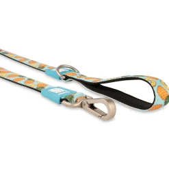 Max & Molly Dog Leash - Sweet Pineapple Online