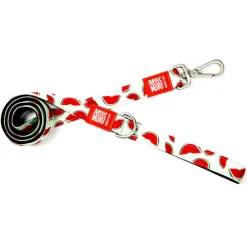 Max & Molly Dog Leash - Watermelon Online
