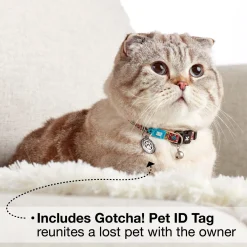 Max & Molly Smart ID Cat Collar - Magic Zebra Clearance