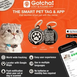 Max & Molly Smart ID Cat Collar - Magic Zebra Clearance