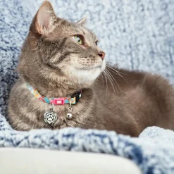 Max & Molly Smart ID Cat Collar - Donuts Clearance
